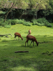 8508fb34-ff22-4980-aabc-b10336c66e2e