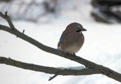 f9cb3fcd-ac1c-479b-8a2e-3bdd4524910e