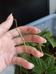 b39ee94e-23a8-4fda-8ee3-b8e86add40d4