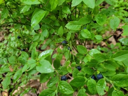 100469ef-04fa-48b2-8018-578641cd8b12