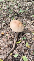 f4eed942-b9d3-4315-9a12-172c81b54c25