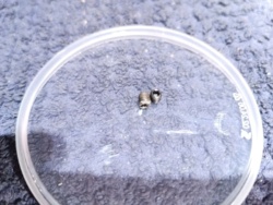 69dac21f-df43-4c96-9bfe-0121125e7d8f