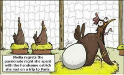 8e78ee8f-17ae-4b5e-a466-cfd77fb293f2