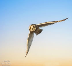 d6137e2e-4a79-4c7f-969b-e68c92c05f1b