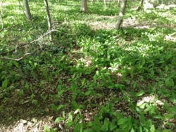 578cfc47-3a74-4613-844c-e85c90c6cd5b