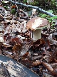 aea46717-a2ae-4b42-b888-3b7572039963