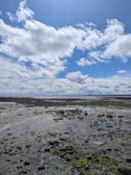 cd74ff76-0a0a-443d-837b-61ce9f74a5e4