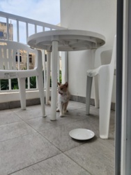 dfdaa5d6-8743-43fd-a05e-dd97ba4fe8a2