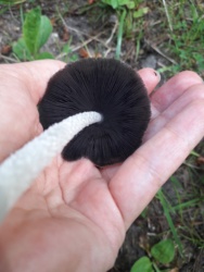 bb8dfadc-b4e4-4b77-bca9-f9bcf9052647