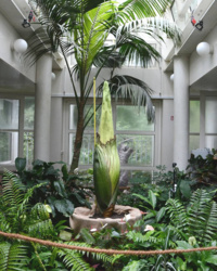 210a3c99-4ba7-42a5-a4b9-8c86f4c33411