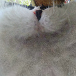 cd05b1a5-4f49-461d-9791-fb75075ce647