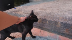 ef3e6b4e-48c4-4ec6-ab00-5047e483c642