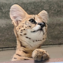 c8fc9223-7043-4c8d-b421-7e131d909c87