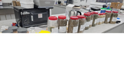 2f01ef8e-4e54-445c-9aae-8f0bb6192c6f