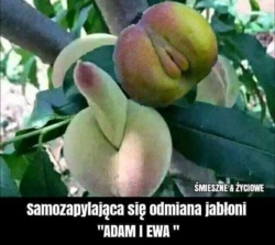 5fb18887-1435-497f-9685-502e84cd36b1