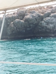 70e1cacb-960b-4839-9957-f89a2d08cabe