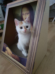 1e223438-dde9-42fb-b2d4-af7916f9dce0