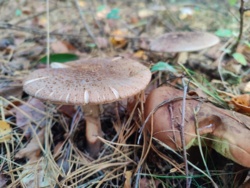 56382cfb-6b56-4a5c-8d13-54d508c4f424