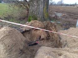 7201f789-8b36-4031-866b-18b0b8e90ca5