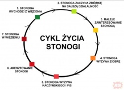 dc1a3329-fbda-4ebd-9d86-ac3836f1c26f