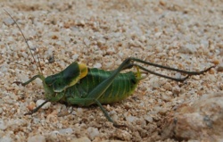 f86f1984-452f-4b45-8e3f-0e16334a9e78