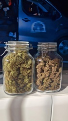 a9a46bb9-ce7f-4568-b263-151d62c58fd4