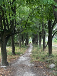 7d02beb9-eb4b-4c9c-9b3c-11f01eff346c