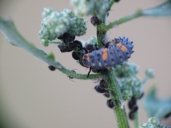 3e9c0798-0f44-4d61-9167-2d1d33553110