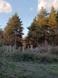 051220f2-164c-45aa-9652-09ec9f4c593a