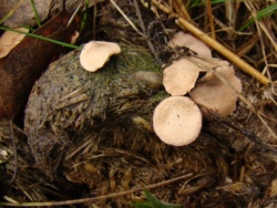 1eedbc92-2442-440f-a4b8-c6b5b9d62d85