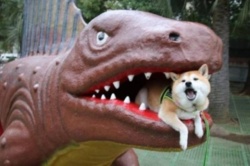 06d09b71-3a9b-4581-83f3-10d2c4b872d7