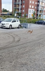 4d75e874-c35a-4e20-8e6c-bb0a4546f7b9