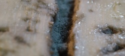 a2aaabf0-6121-4c91-8e28-68414e377d6a