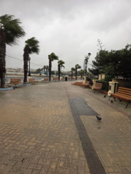 8a421b8d-a693-4534-953c-56fb72f8a0b4