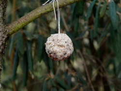 caddd40f-26d8-4a7b-8fbb-8c0218e92cf8