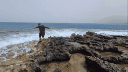 f5b6b708-6f97-4d3f-815e-eb655ce74bc9