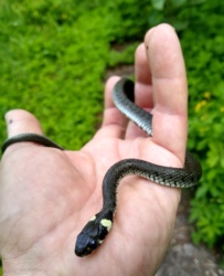 fb7ee515-4aa9-4365-b126-0c5a5d0394e7