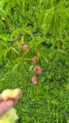 37aa2dc2-4ac5-4885-afc1-2cc741c1bdf2