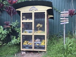 2c39a2d2-ee77-418e-a831-392a398ede18