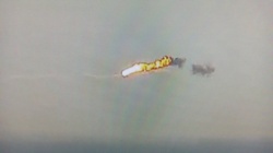 9ce52595-407c-4e2e-b1f6-bddbed8e99fd