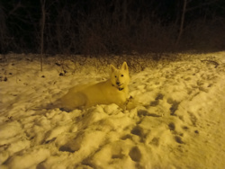 342c22a2-c8be-486d-a80f-78cc8893105f