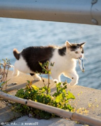 b3014be9-b85d-4bfc-97e0-c7f56c6611db