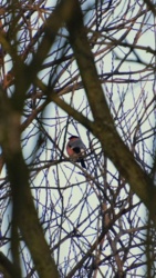 0be76ee6-946b-4228-b698-cd92ba8d2f87