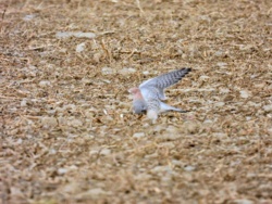 54d3f66a-c17e-4de4-b225-9f8cb294aaad