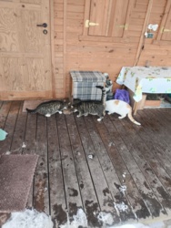 099086ef-6d88-485e-891b-b7170f785c90