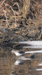 a9d9b075-b010-4d30-8d87-8d120ade51ff