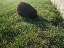 fa3ec551-cc59-4945-990e-f91c72e2fb1d