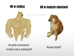 670f8851-3427-4d59-ba4d-a2518e2482fa