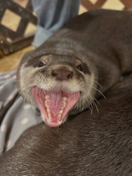 d8d45de0-7def-4509-8170-2ed138f93c71