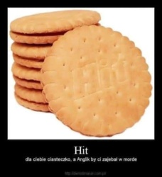 7ae02b79-61d6-4db3-abc4-6ed2fee3bd67